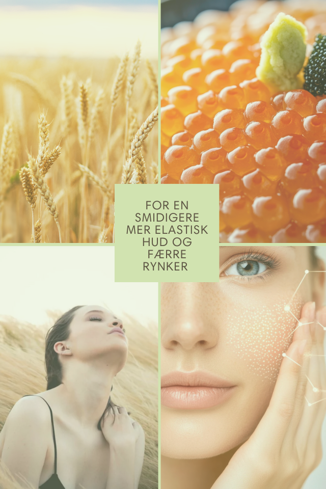 Romega® SKIN REFINE